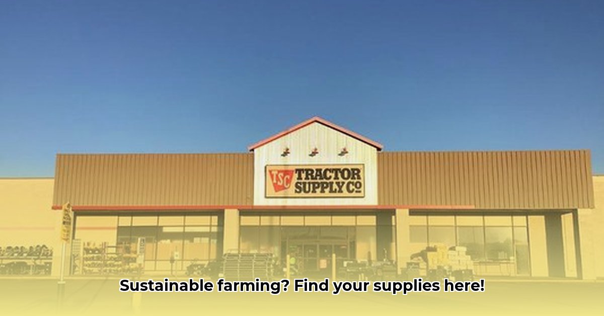 tractor-supply-borger